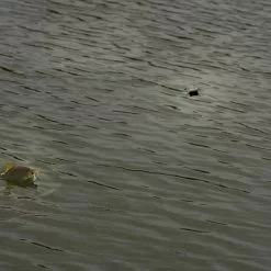 Cresta - Free Running Swivel Stopper - Cresta -HENGELS Winkel 1522752267